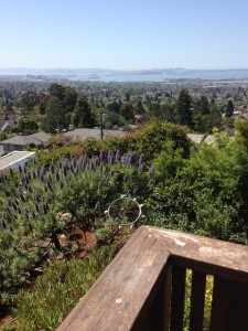 View from a gorgeous house in the Berkeley Hills